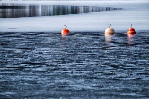 Buoys on the wintry Schluchsee