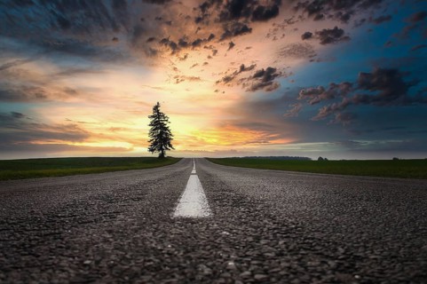Ground level view of a rural tarred road at sunset between lush green fields with a view along the