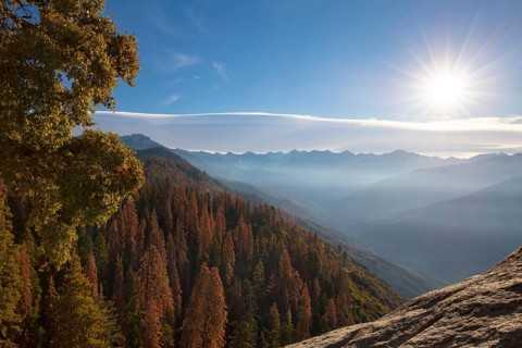 Autumn sunrise over redwood trees at Moro Rock in Sequoia National Park, California, USA, North