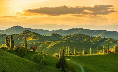 South styria vineyards landscape, near Gamlitz, Austria, Europe. Grape hills view from wine road in