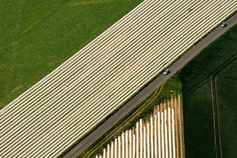Spagel fields on the Lower Rhine