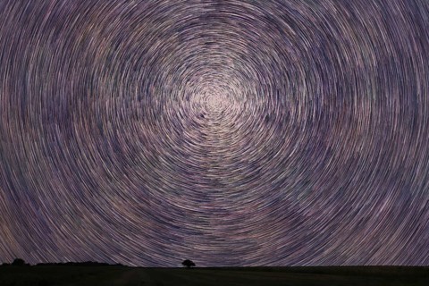 Star Trails over filed with lonely tree. Night sky startrails