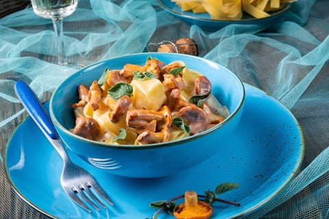 Pappardelle with cheese sauce and fresh chanterelles