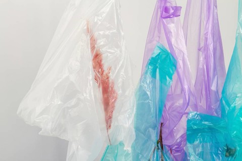 Close up hanging plastic bags with herbs. Isolated on white
