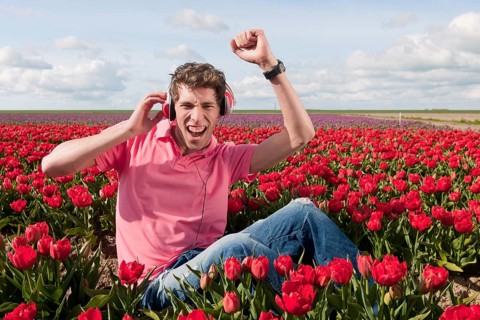 Dutch man sitting in flower fields listeing to cool music