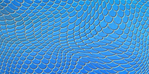 Blue mermaid scales, fish scale, Fantasy texture