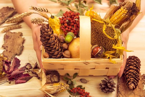 Autumn products such as corn, sunflower, apple, pumpkins in a wooden basket decorated with other