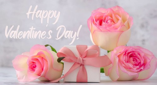 Gift box with tied ribbon bow pink roses. Greeting card background. Present for springtime holidays