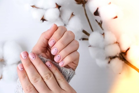 Woman hands with beautiful nude manicure holding delicate white cotton flower. Female Manicure,