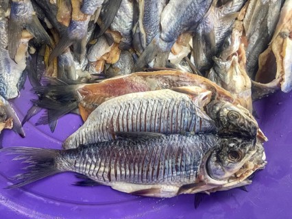 Close-up of dried fishes, more in background, at purple plate at a market, Santa Cruz de Mompox,