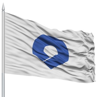 Isolated Wakayama Japan Prefecture Flag on Flagpole, Flying in the Wind, Isolated on White