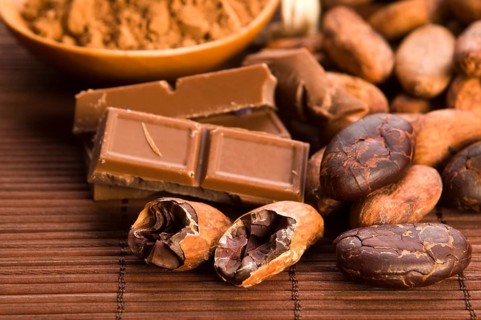Cocoa (cacao) beans with chocolate, lodz, poland