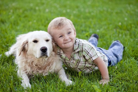 Cute toddler blonde boy with golden retriever hugging close up