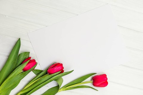 Red tulips and sheet of paper for your greetings on the background of white wooden board