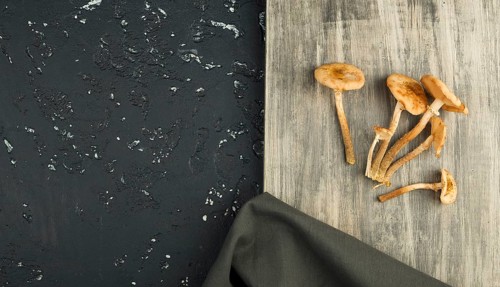 Fresh mushrooms with spices and herbs on black board. View from above. Copy space
