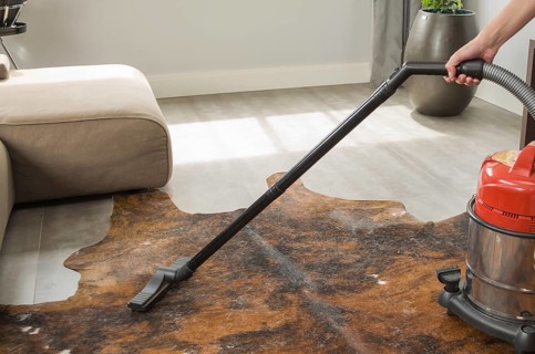 Cleaning the house, vacuuming the floor with the vacuum cleaner, carpet of the house