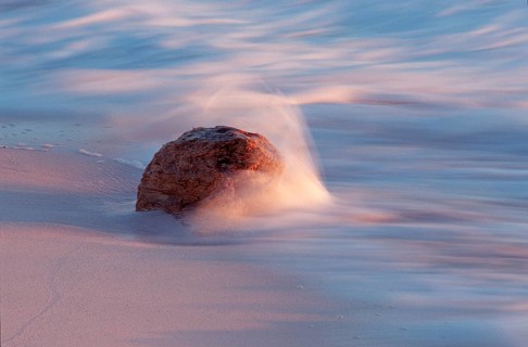 Driftwood on the beach, Jamaica, Caribbean Sea, Caribbean, Central America