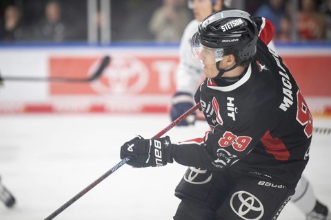 LanxessArena, Cologne, North Rhine-Westphalia, Gregor Macleod (Cologne Sharks, #89), PENNY DEL,