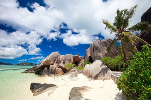La Digue, Palm tree beach, Seychelles, Indian Ocean, Palm trees, La Digue, Indian Ocean,