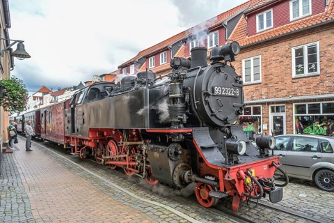 Mecklenburgische Bäderbahn Molli, Mollistraße, Bad Doberan, Mecklenburg-Vorpommern, Germany, Europe