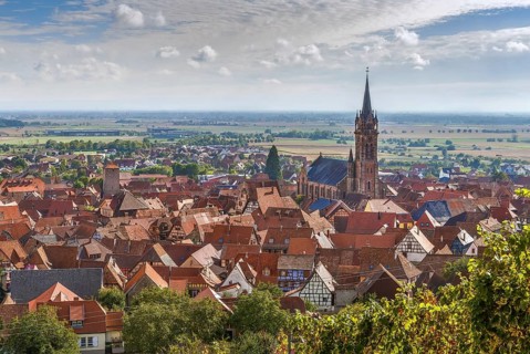 View of Dambach la Ville from the hill with vineyard, Alsace, France, Europe