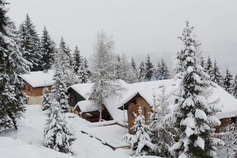Snow-covered little houses in the middle of a forest