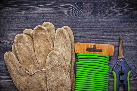 Set of garden shears tie wire safety gloves on vintage wood board gardening concept