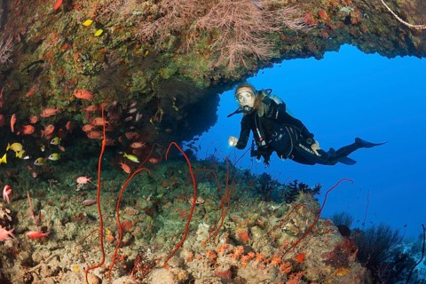 Diver exploring cave, North Male Atoll, Maldives, Asia