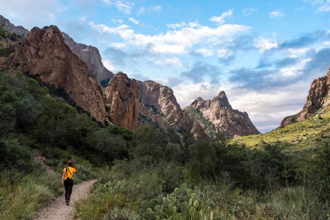 A hiker walking thtough the mountains of Big Bend National Park, USA, North America