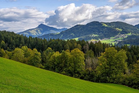 View to the Kitzbüheler Horn mountain in the alps of Austria