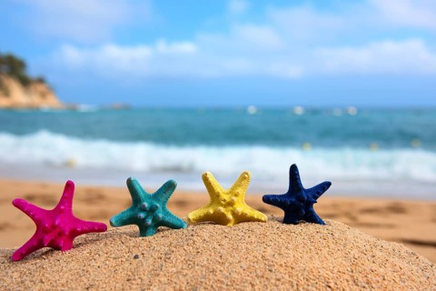 Tropical colorful starfishes at the beach