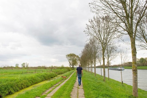 Man walking the dog in typical dutch landscape