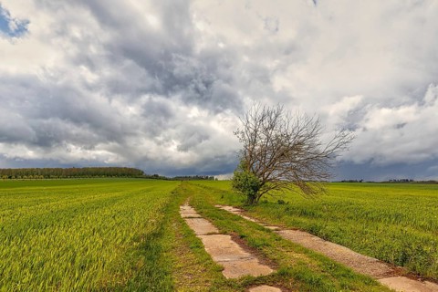 Harz landscape Selketal