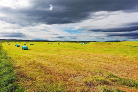 Mown grass folded into a neat stack and packed in special bags of plastic. Rural field after