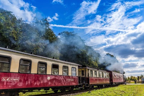 Molli train