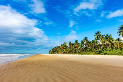 Landscape of the idyllic beach of Sargi with its coconut trees and sand meeting the sea in Serra