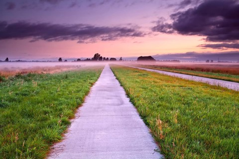 Dutch bicycle road through summer misty meadows