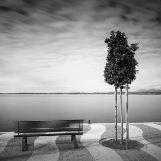 Shore promenade on Lake Garda, Italy, with trees and bench, Europe