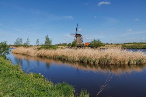 Windmill on the water, surrounded by reeds and meadow under a bright blue sky, historic windmills