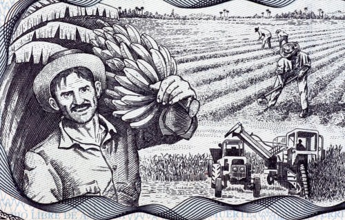 Agricultural Scene on 20 Pesos 2006 Banknote from Cuba