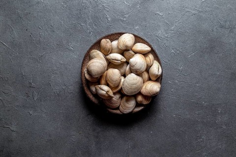 Food, Food, Raw fresh clams in gray plate, gray background