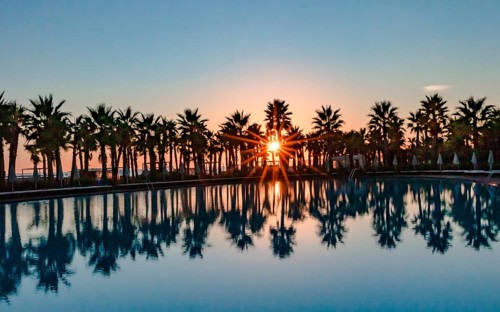 Sunset by the pool with palm trees in Salgados, Portugal, Europe