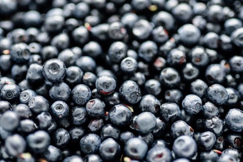 A close-up view of fresh blueberries closely packed together