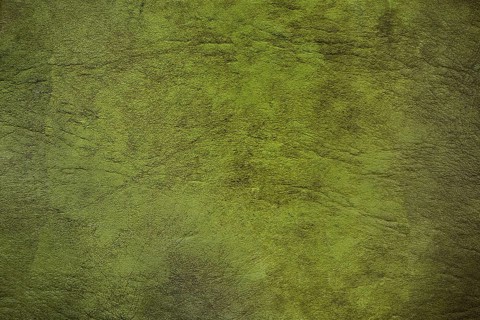 Green textured background with rough uneven surface, creating an abstract pattern of light and