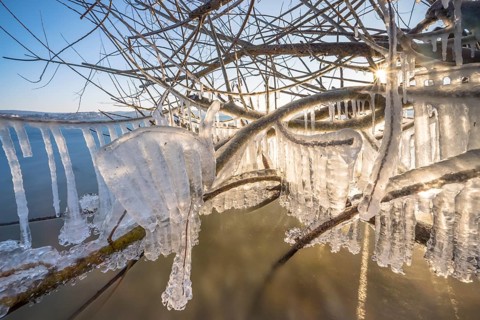 Frozen branches with detailed icicles in the sunlight, Niederzell, Reichenau, Lake Constance,