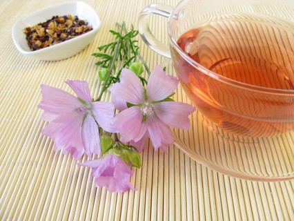Tea with Common mallow