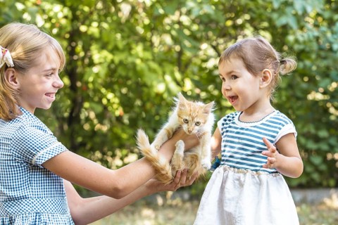 Girls play with kitten outdoor in the park