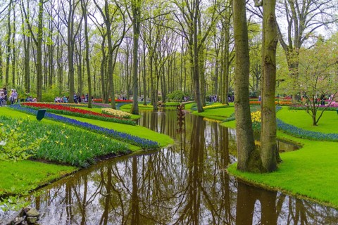 LISSE, NETHERLANDS, APRIL 22, 2018: Lots of people enjoying the blooming tulips in the Keukenhof,