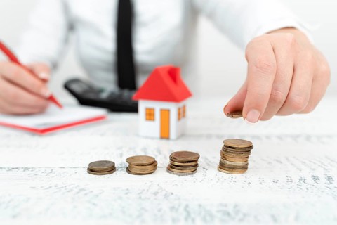 Lady Presenting New Home Savings Deals In Outfit, Business Woman Showing Possible Investment