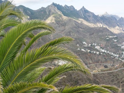 Large palm leaf in the foreground with mountain landscape and houses on the coast in the